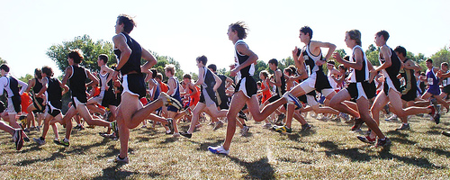 Cross Country Race