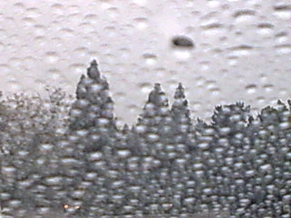 Running in the Rain Running in the Rain