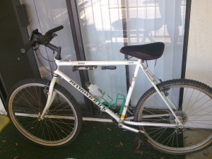 My old bike I used for the Brick workout..