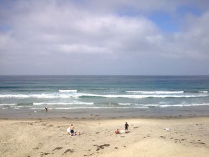 la-jolla-shores-beach-run-12