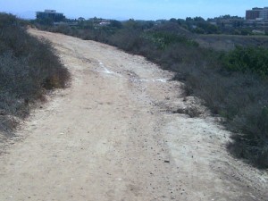 Trail Running at UCSD Trails