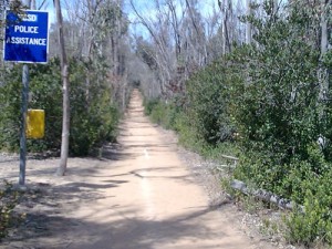 Trail Running at UCSD Trails