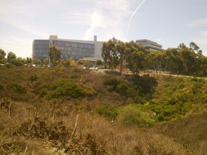 Trail Running at UCSD Trails