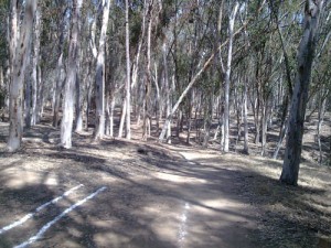 Trail Running at UCSD Trails Trail Running at UCSD Trails