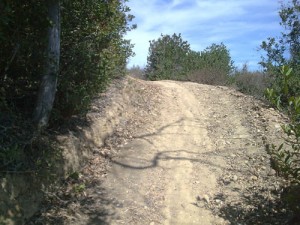 Trail Running at UCSD Trails