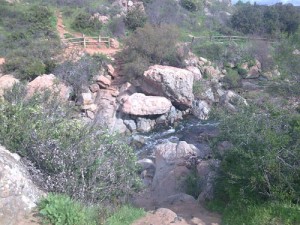 Los Peñasquitos Canyon Preserve Trail