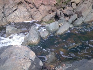 Los Peñasquitos Canyon Preserve Trail Waterfall