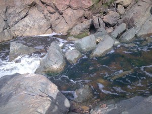 Los Peñasquitos Canyon Preserve Trail Waterfall Los Peñasquitos Canyon Preserve Trail Waterfall