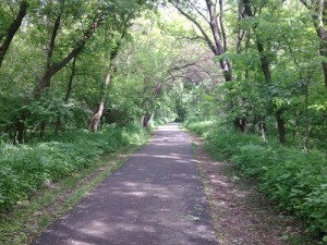 Des Moines Trail