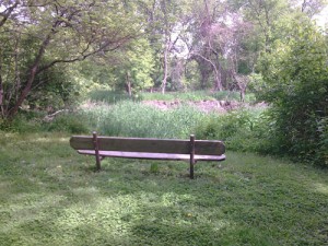 Des Moines Trail Bench