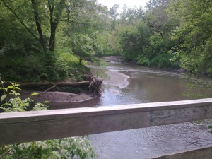 Des Moines Trail Bridge