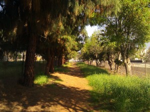 Arroyo High School Running Trail