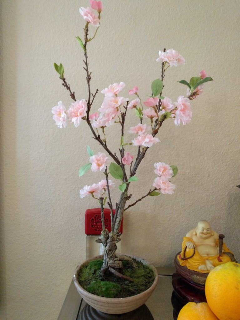 Trail Running Blog » Cherry Blossom Bonsai Tree Silk Plants Direct Review